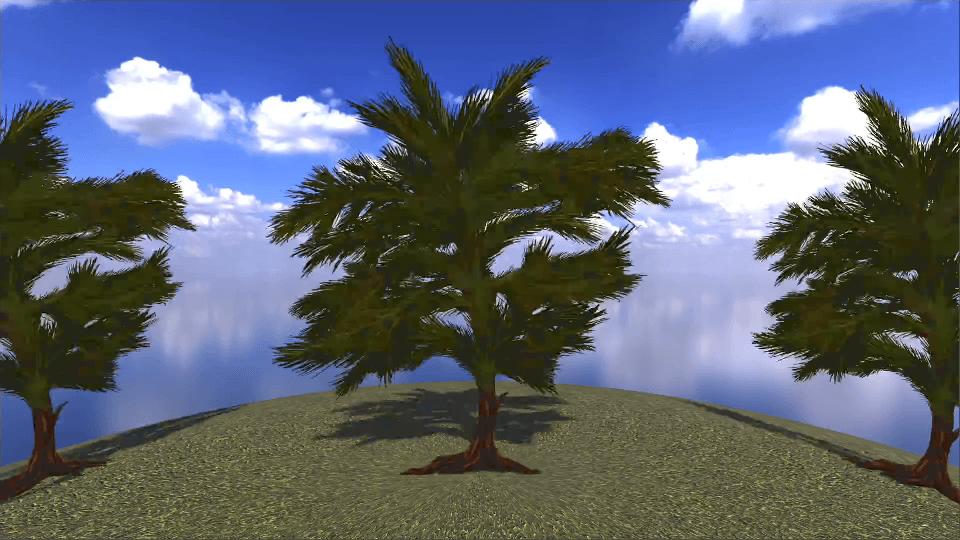 Fir - European Flora