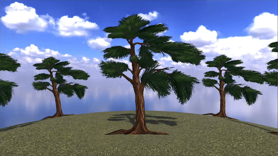 Tall Pine - European Flora