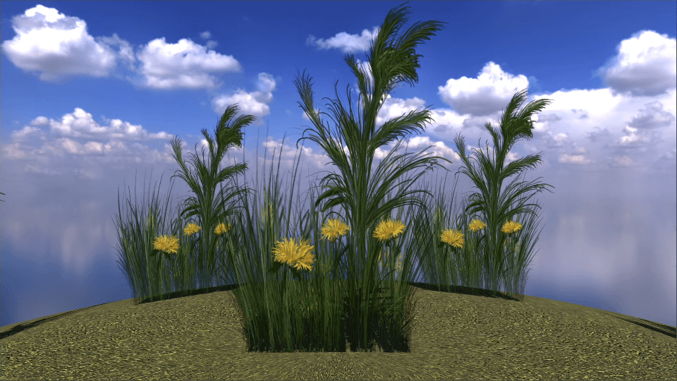 Dandelion Grass - European Flora