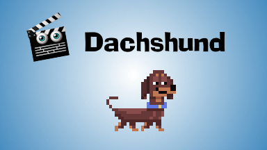 Dachshund