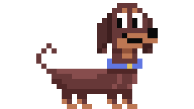 Dachshund
