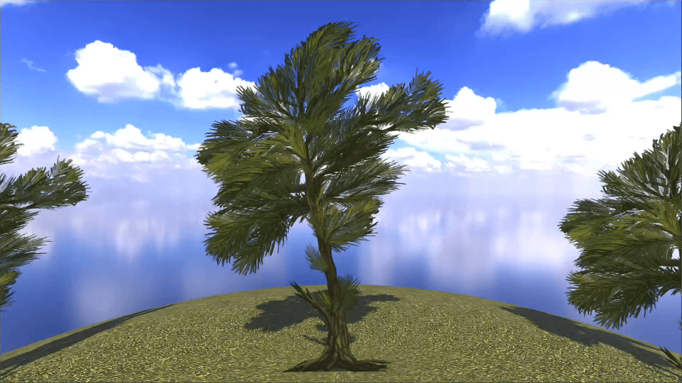 Yellow Pine - European Flora