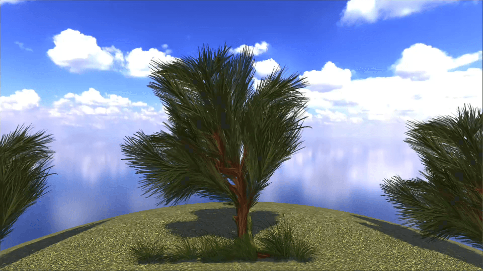 Pine Tree - European Flora
