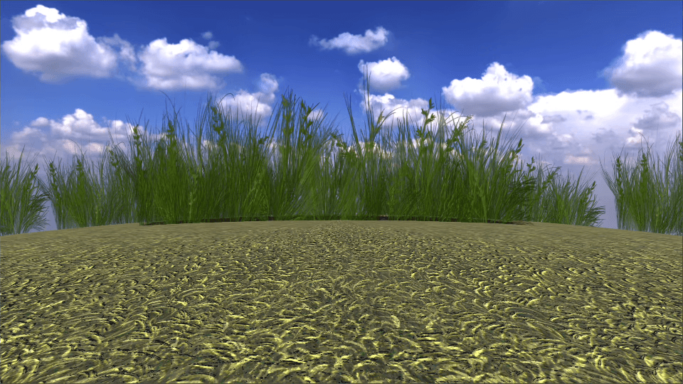 Meadow Green Grass - European Flora