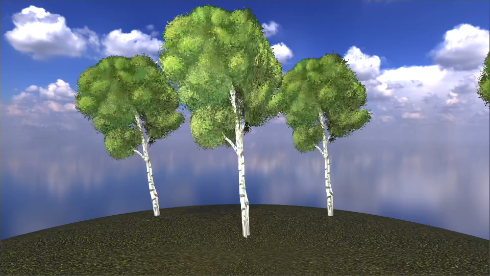 Birch - European Flora