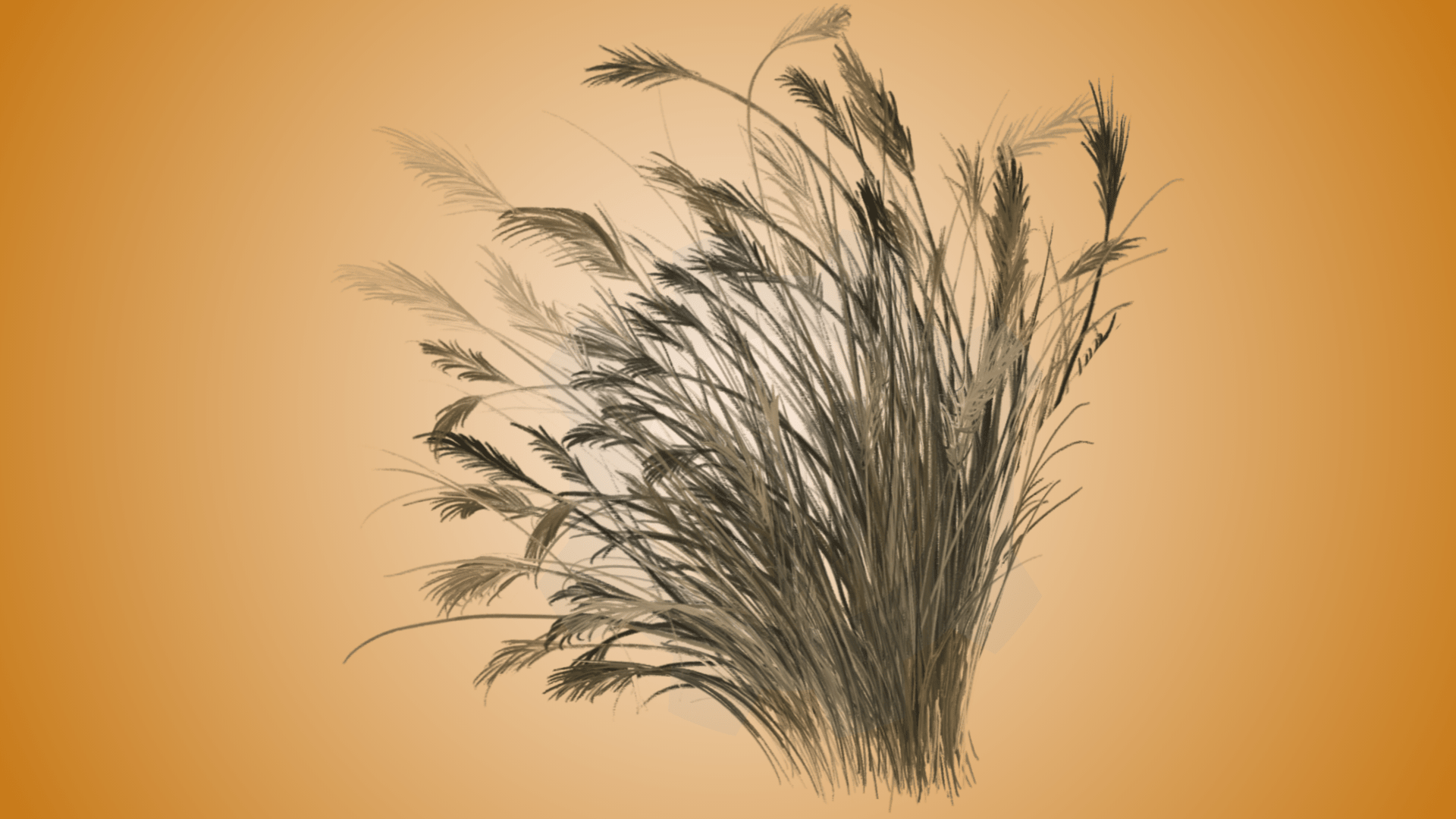 Yellow Grass - European Flora