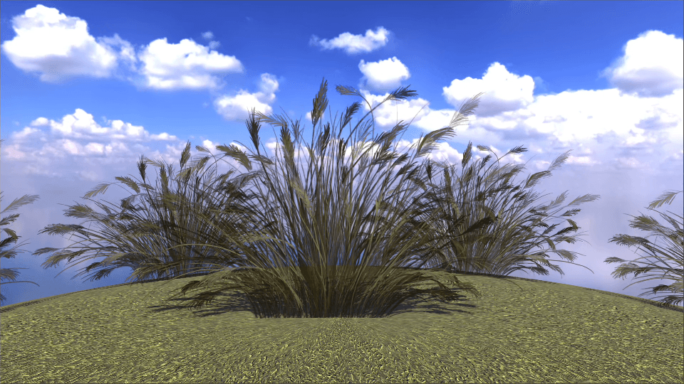 Yellow Grass - European Flora