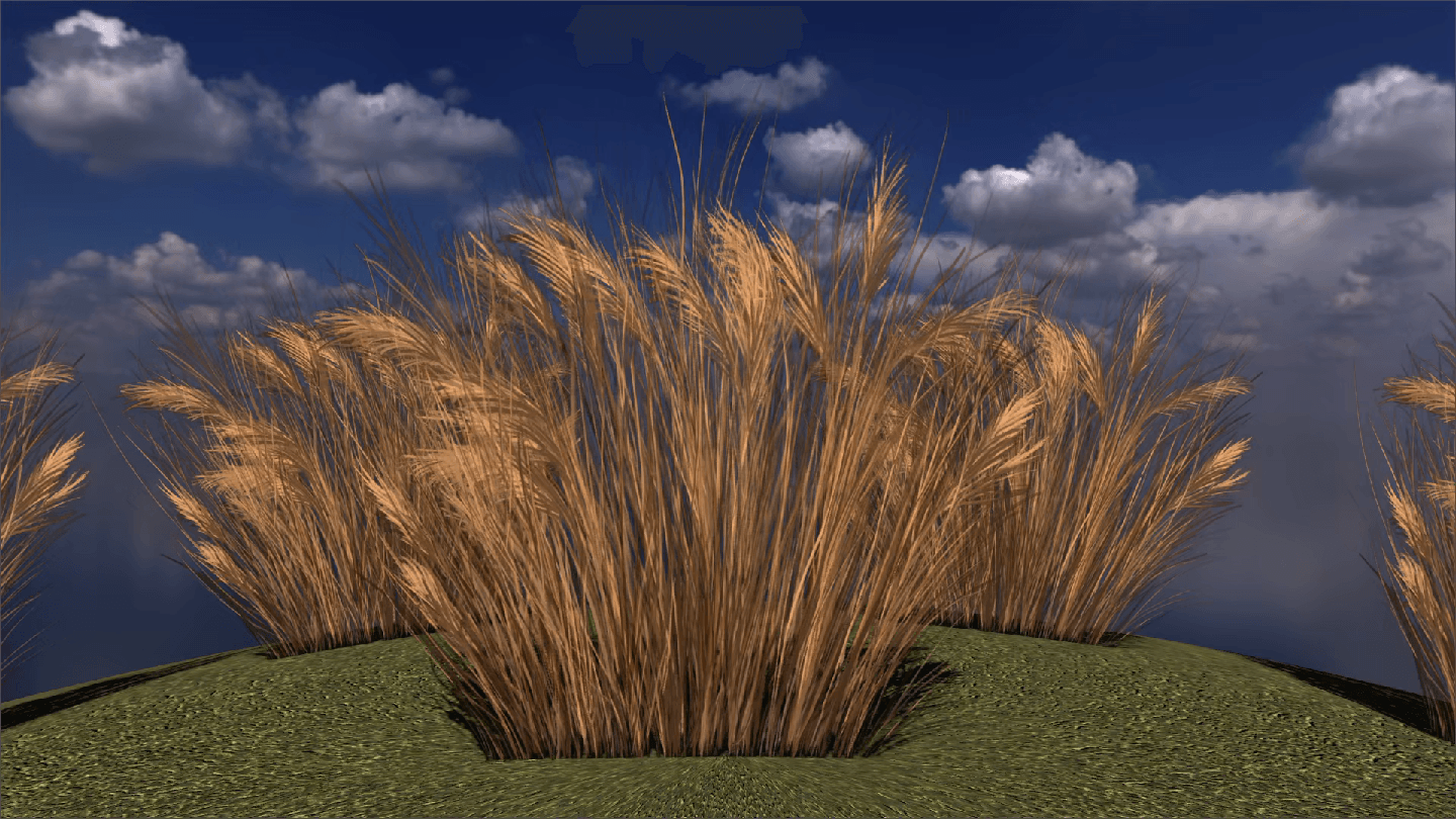 Coastal Bright Yellow Grass - European Flora